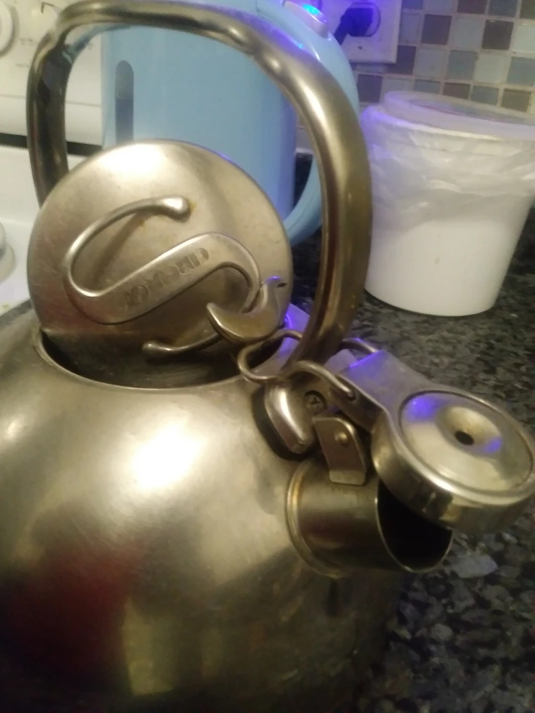 Vintage Circron Stainless Steel Kettle image indicator(3)