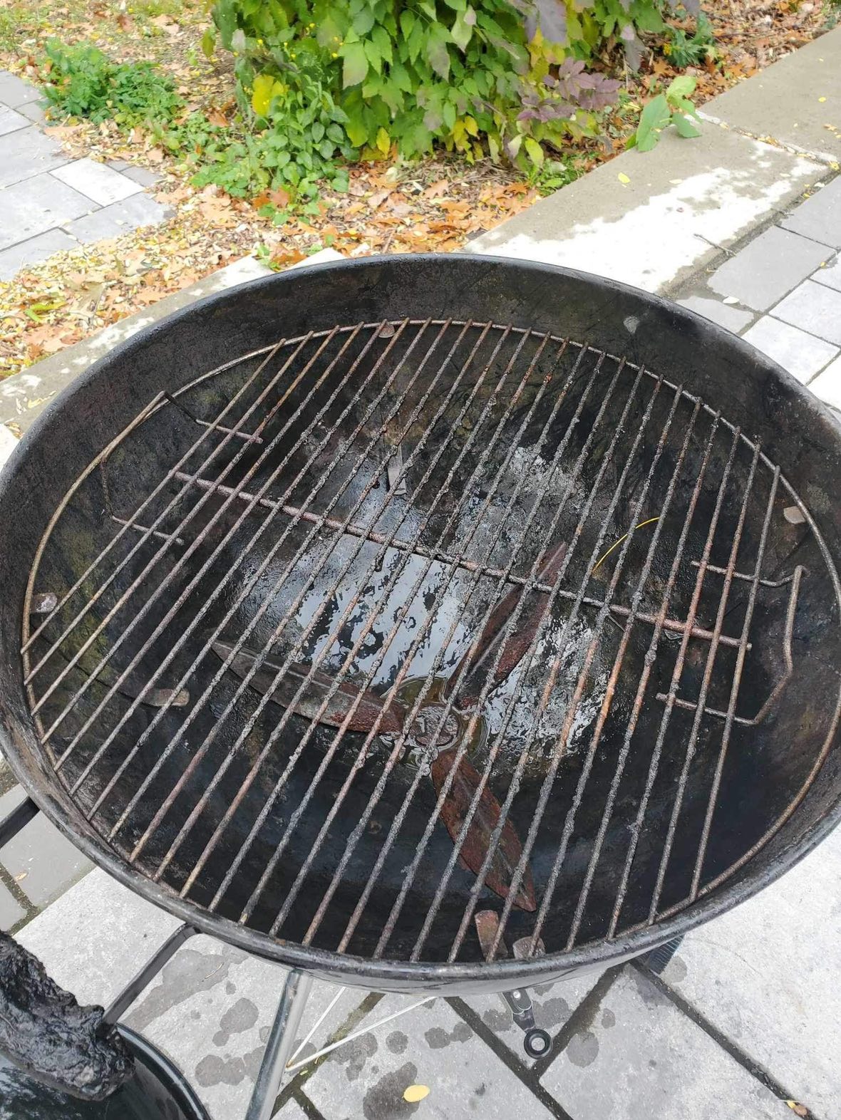 Weber BBQ - photo 3