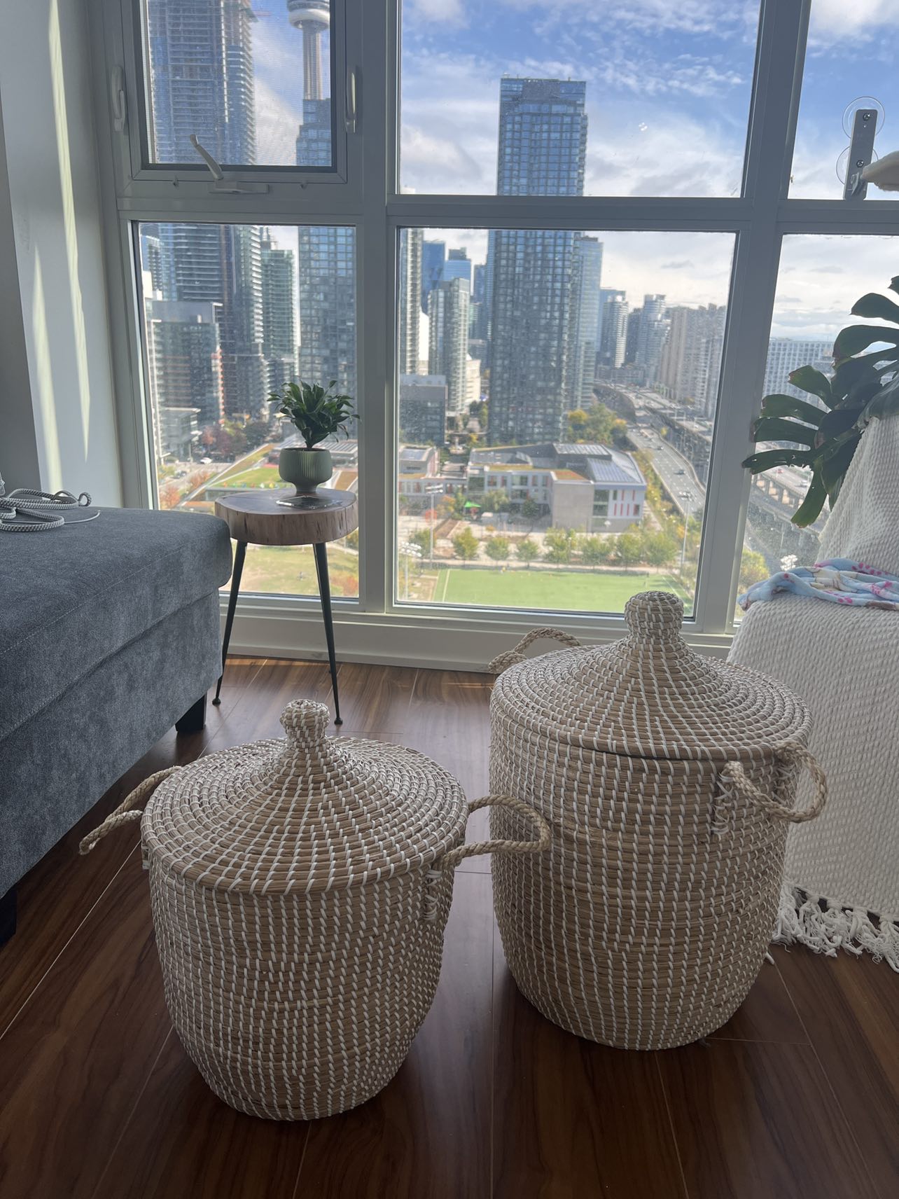 Storage baskets (set of 2)