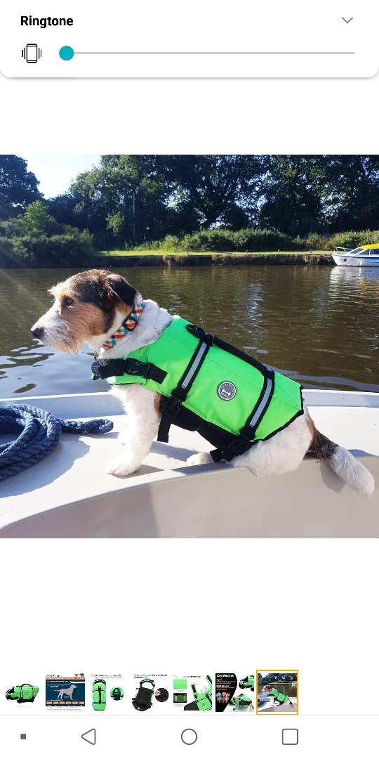 NEW!  Dog Life Jacket - Bright Green image indicator(8)