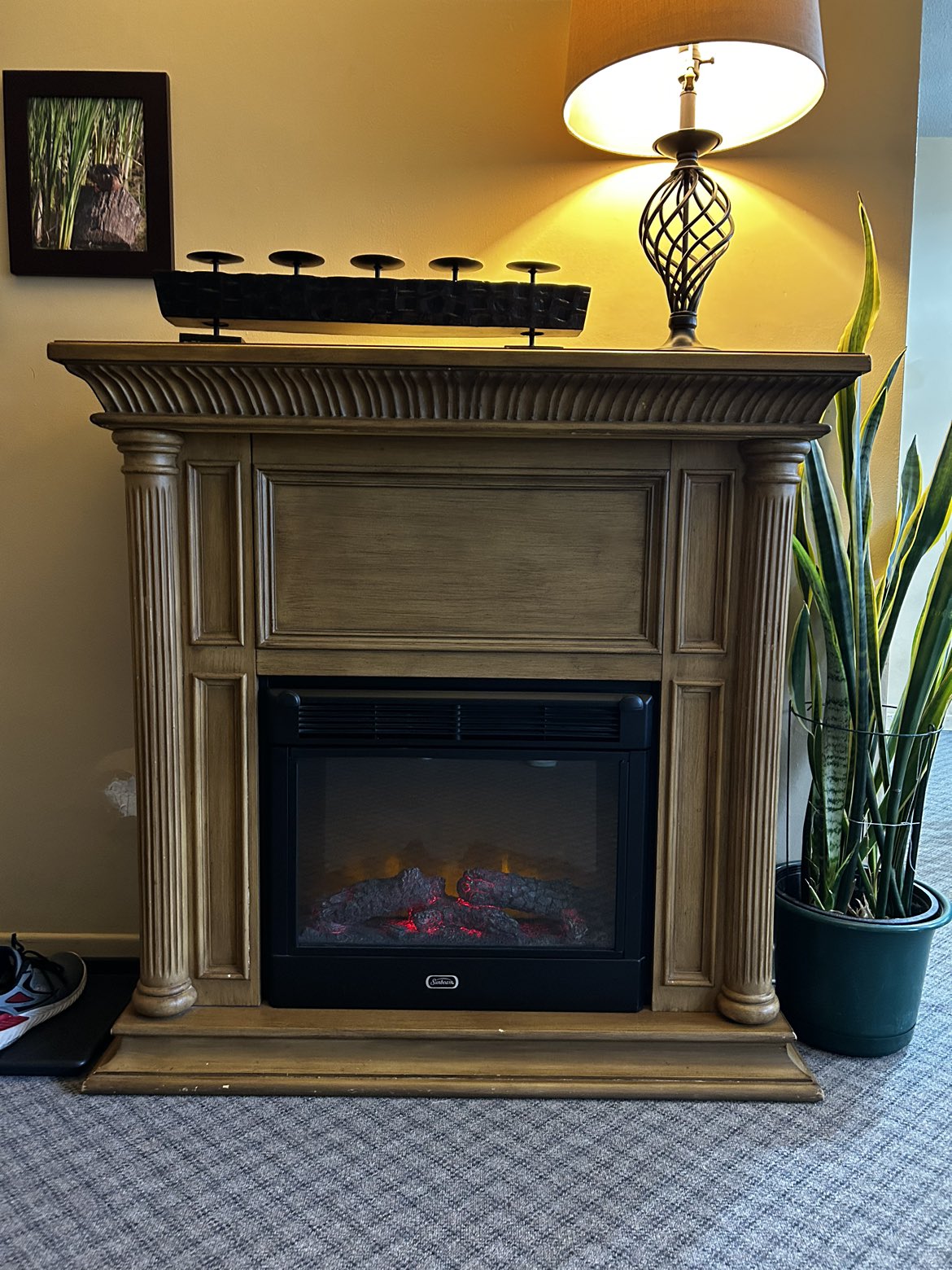 Electric Fireplace