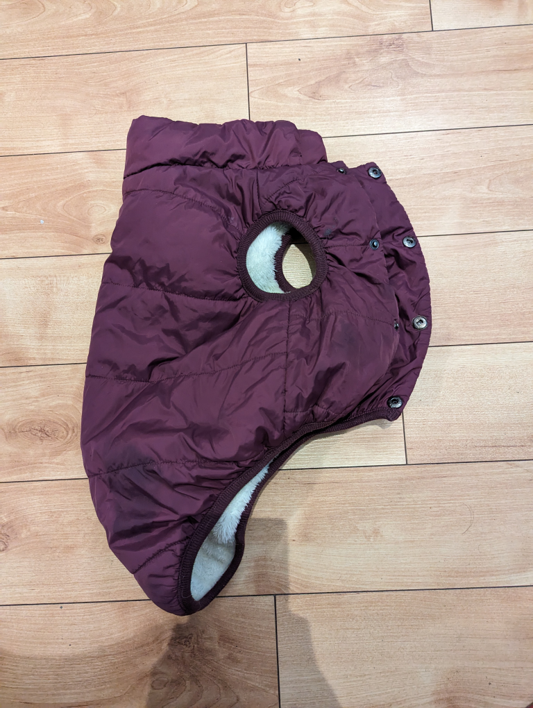 dog vest 🦃 - photo 2