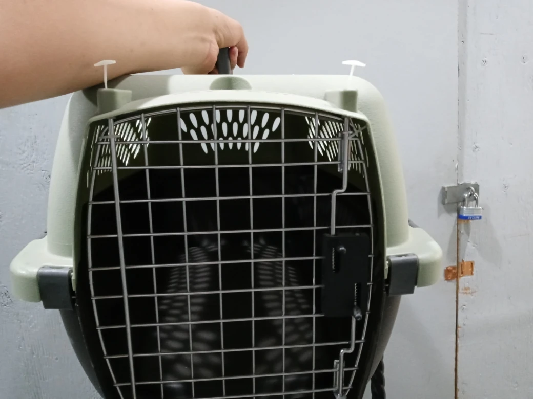 cat cage