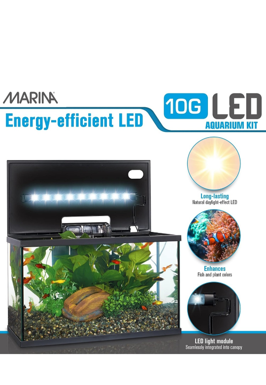 Marin 10 Gallon fish aquarium - photo 4
