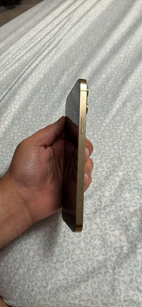 IPHONE 13 PRO MAX 128GB GOLD - photo 4