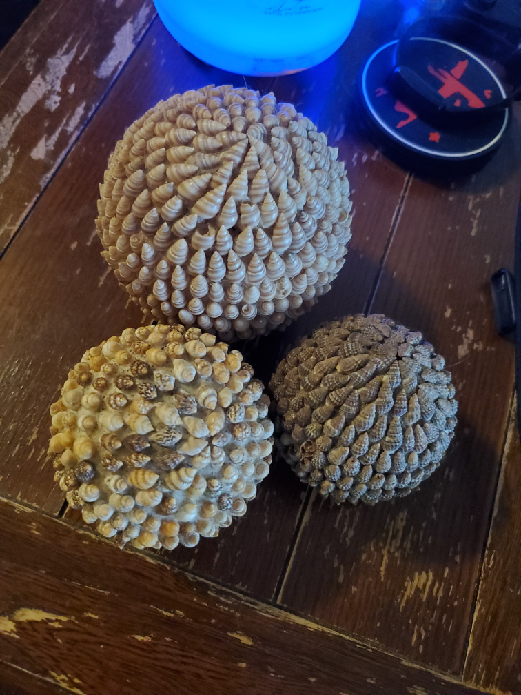 Decorative spheres covered in sea shells thumbnail