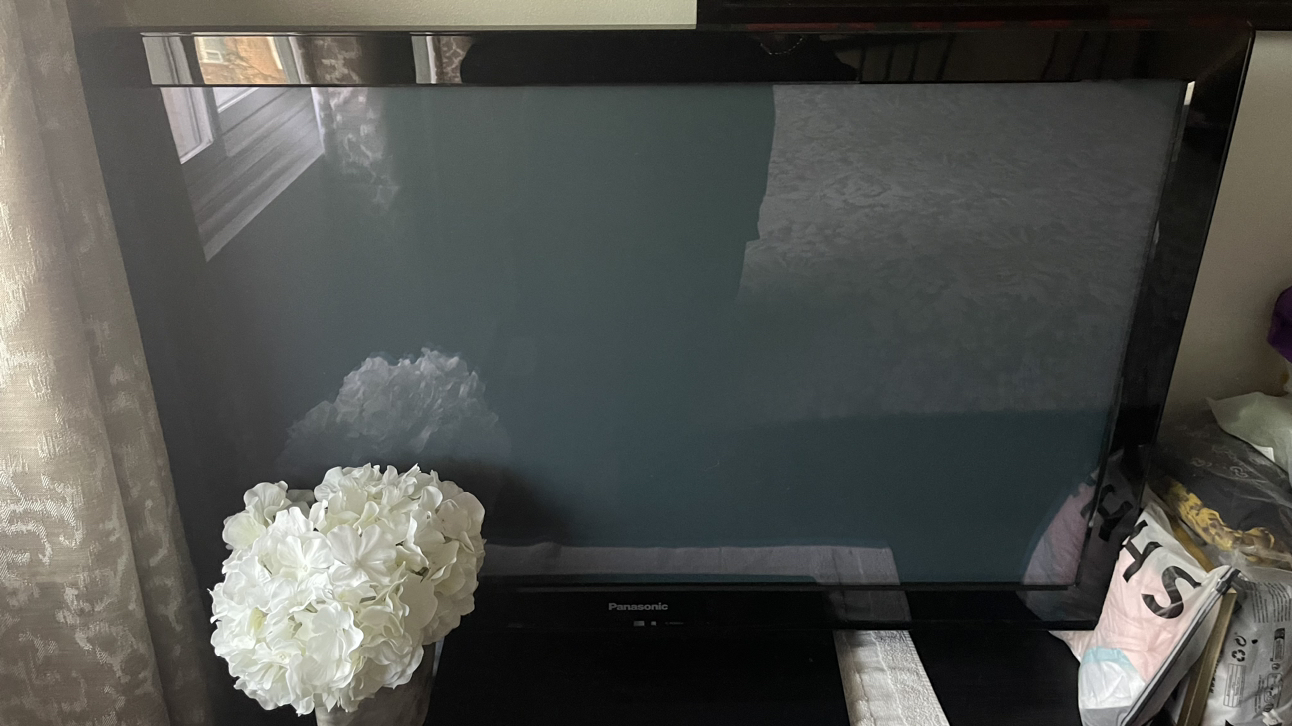 Panasonic 45in TV