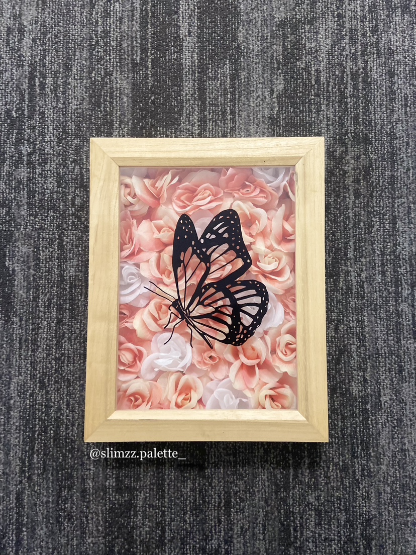 Light Up Butterfly Shadow Box