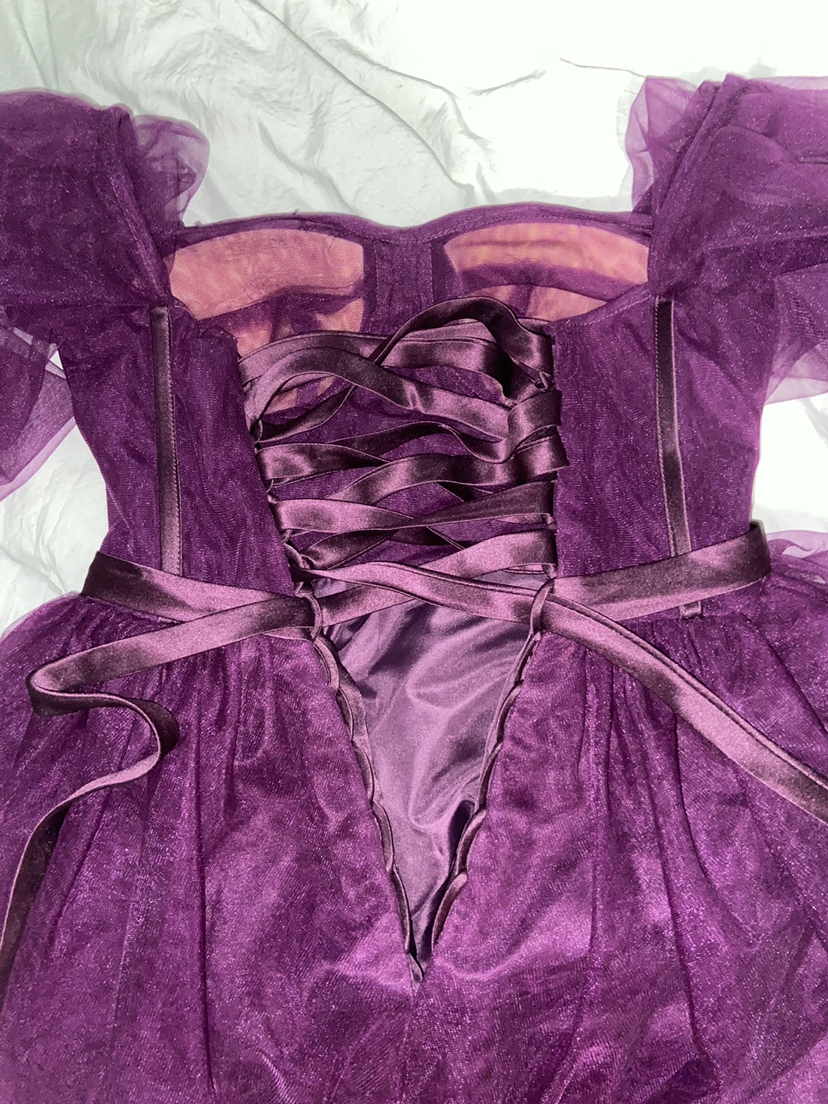 ballroom dress image indicator(6)