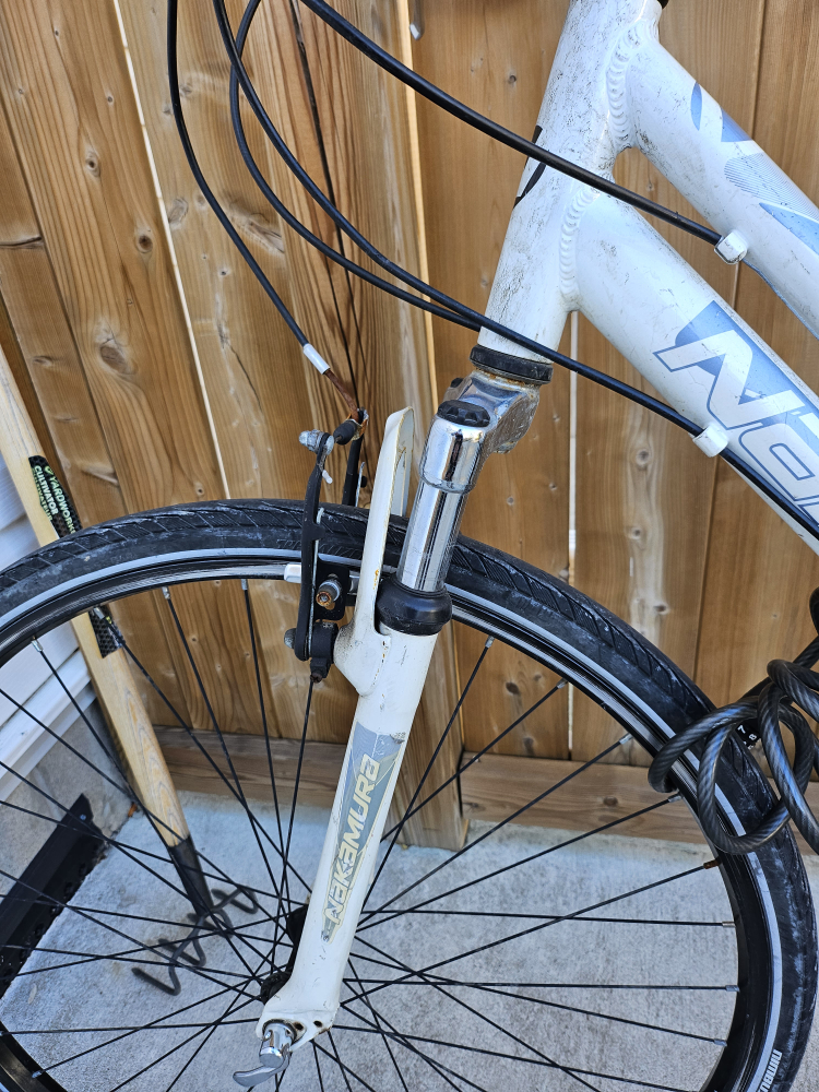 bike in needs of love - photo 3