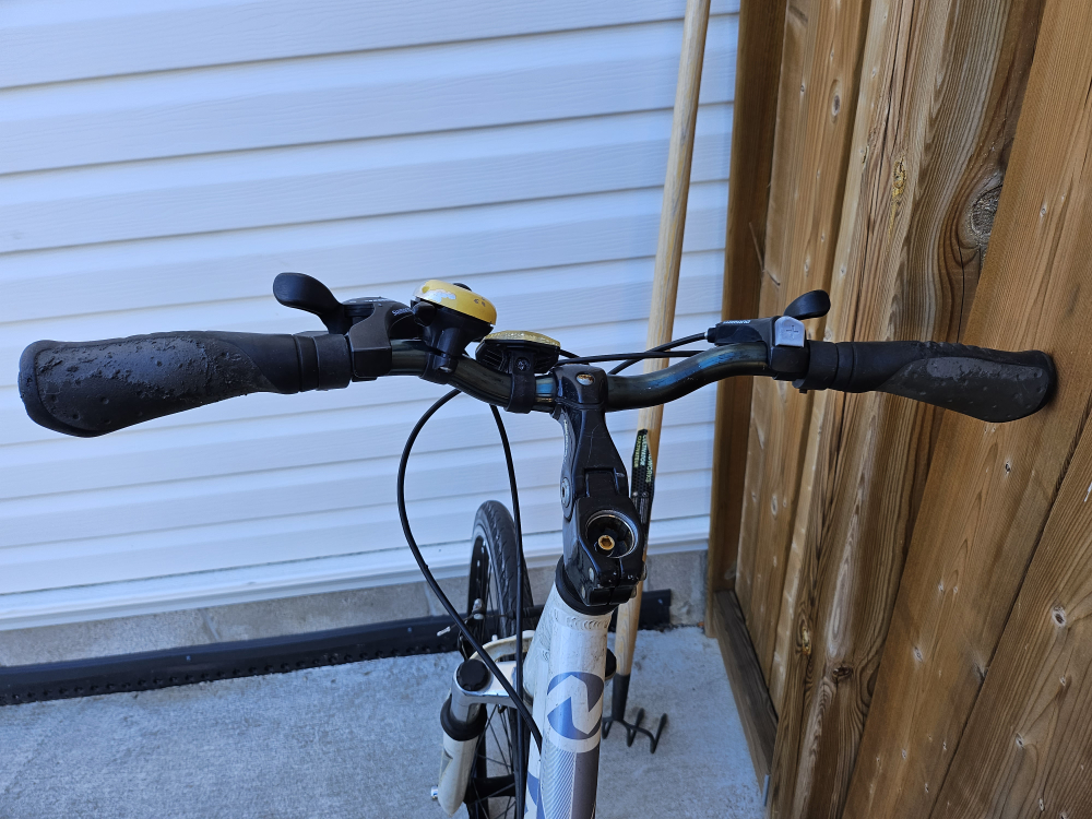 bike in needs of love - photo 5