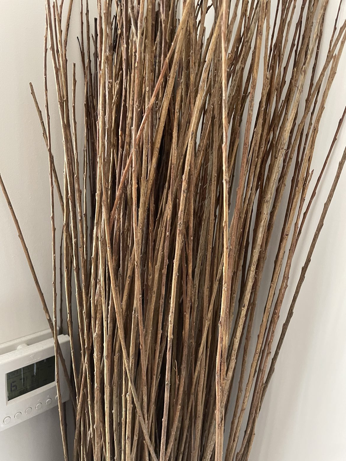 Standing Tree Branch / Plant Decor