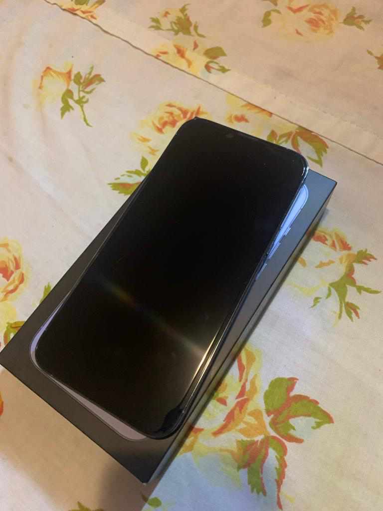iPhone 13 Pro Max 256GB