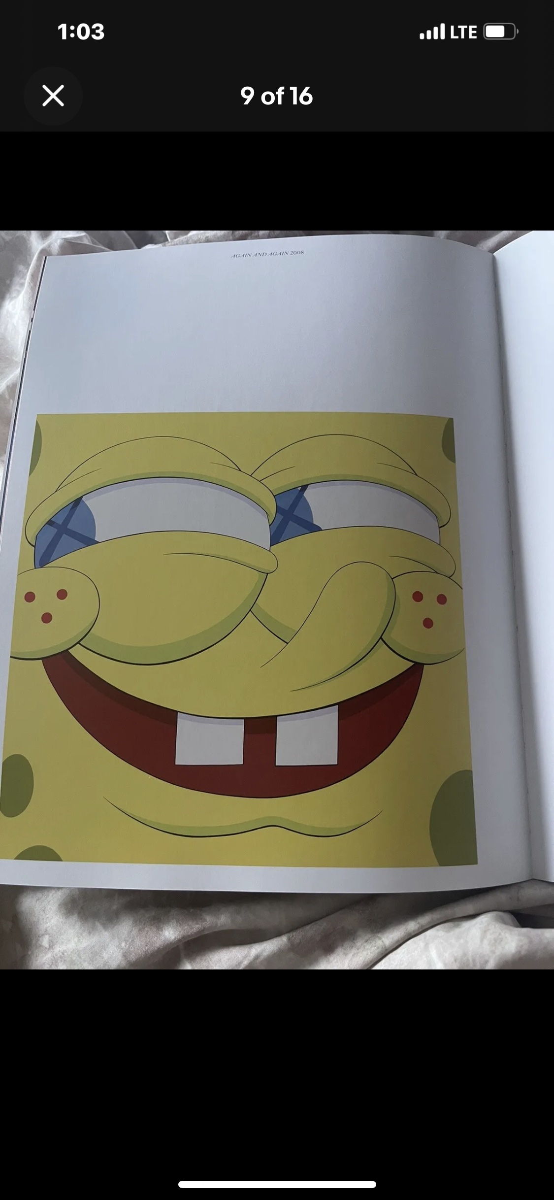 KAWS Companionship in the Age of Loneliness BOOK What Party image indicator(5)