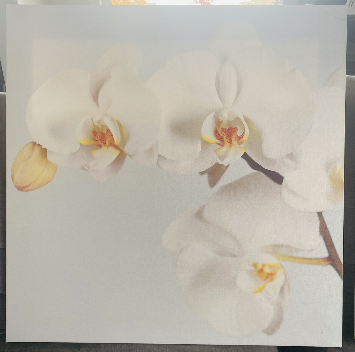 Orchid Canvas Wooden Framed Paintings - photo 2