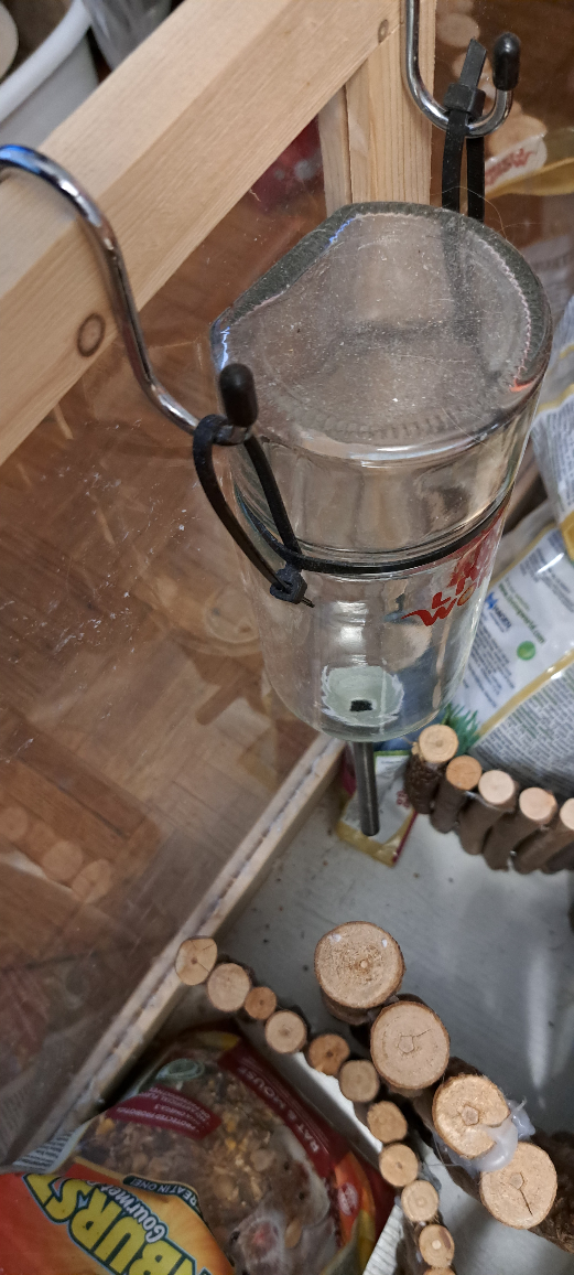 hamster house image indicator(5)