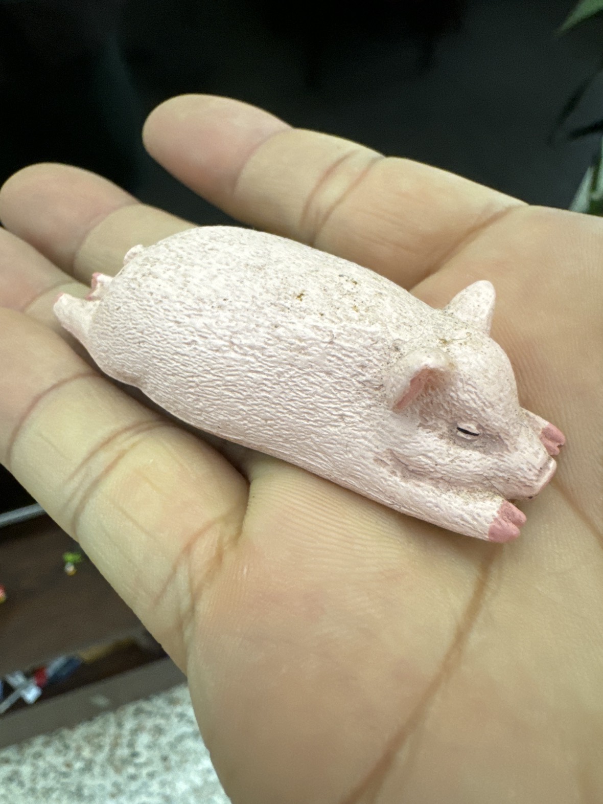 #FREECYCLE sleeping pig