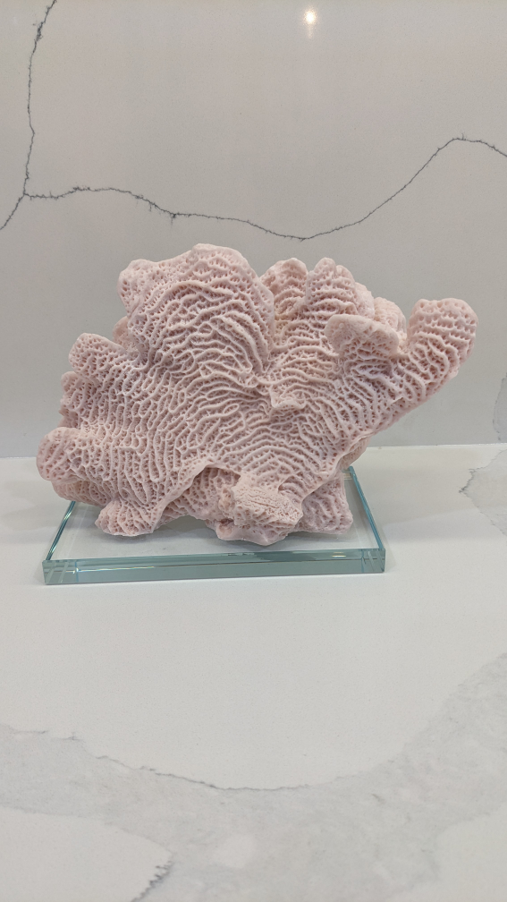 Faux Pink Coral Decoration image indicator(2)