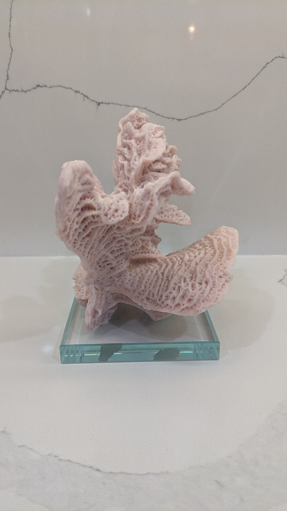 Faux Pink Coral Decoration image indicator(4)