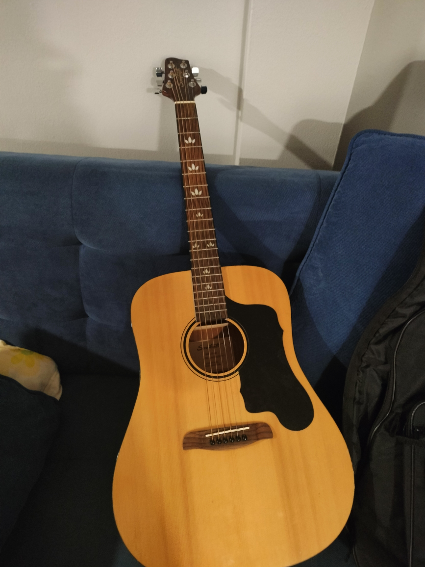 Guitar along with cover
