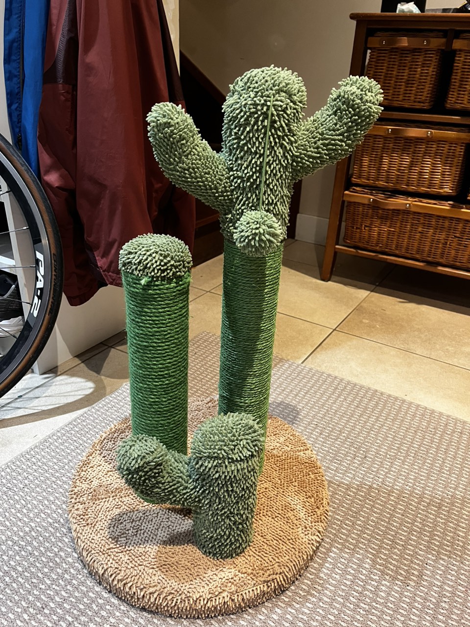 Cacti cat scratcher and toy 🦃 thumbnail