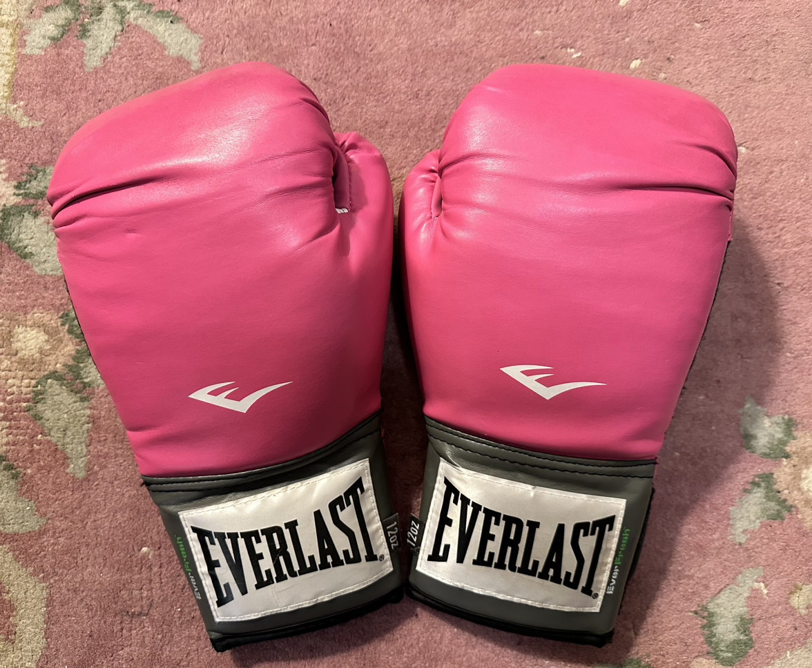 Everlast Pro Style2 Training Boxing Gloves