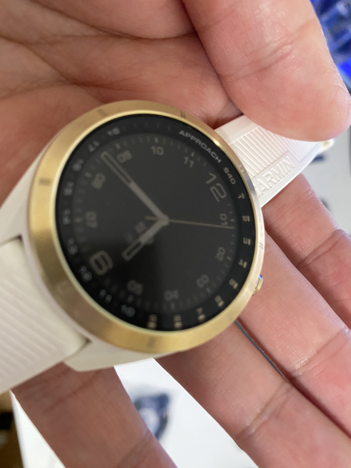 Garmin Approach S40 - photo 2