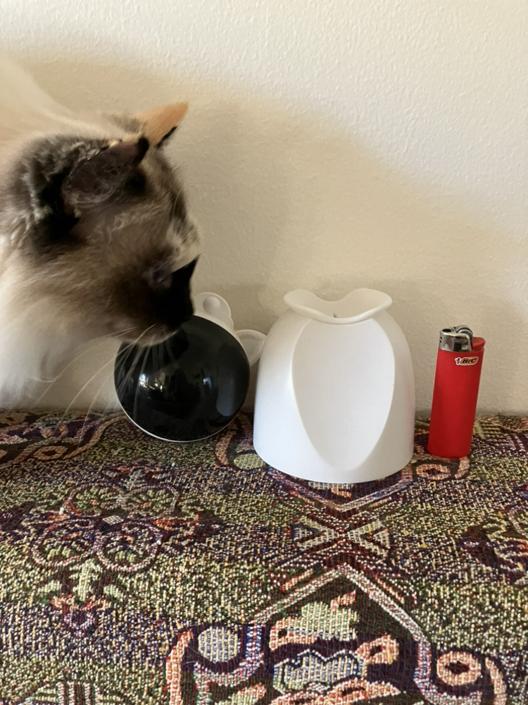 Automatic Laser Cat Toy image indicator(3)