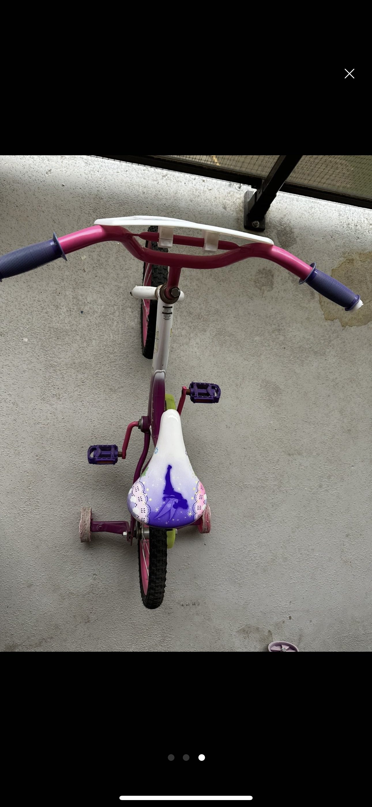 Free Bicycle - photo 2