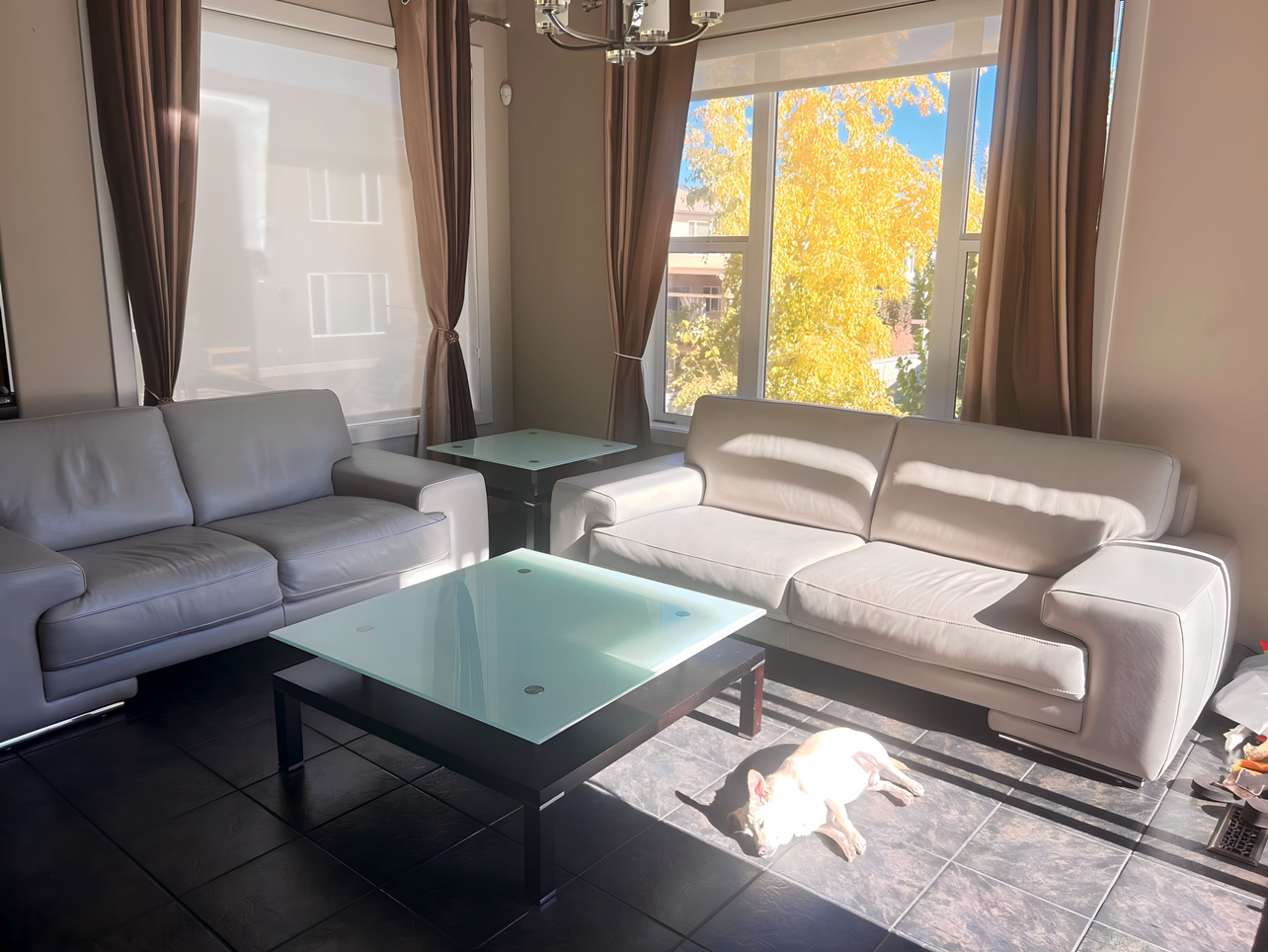 Sofa set