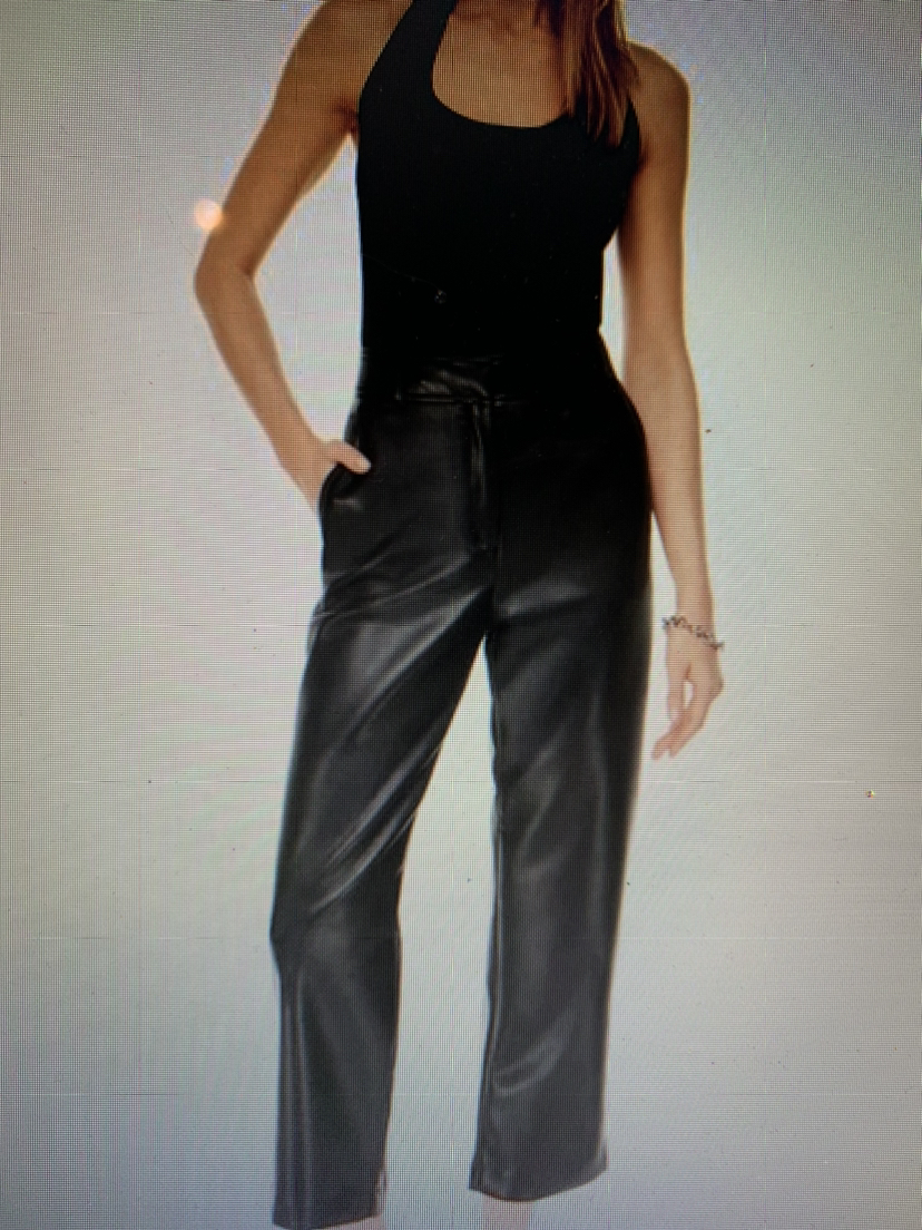 Aritzia Babaton leather pants thumbnail
