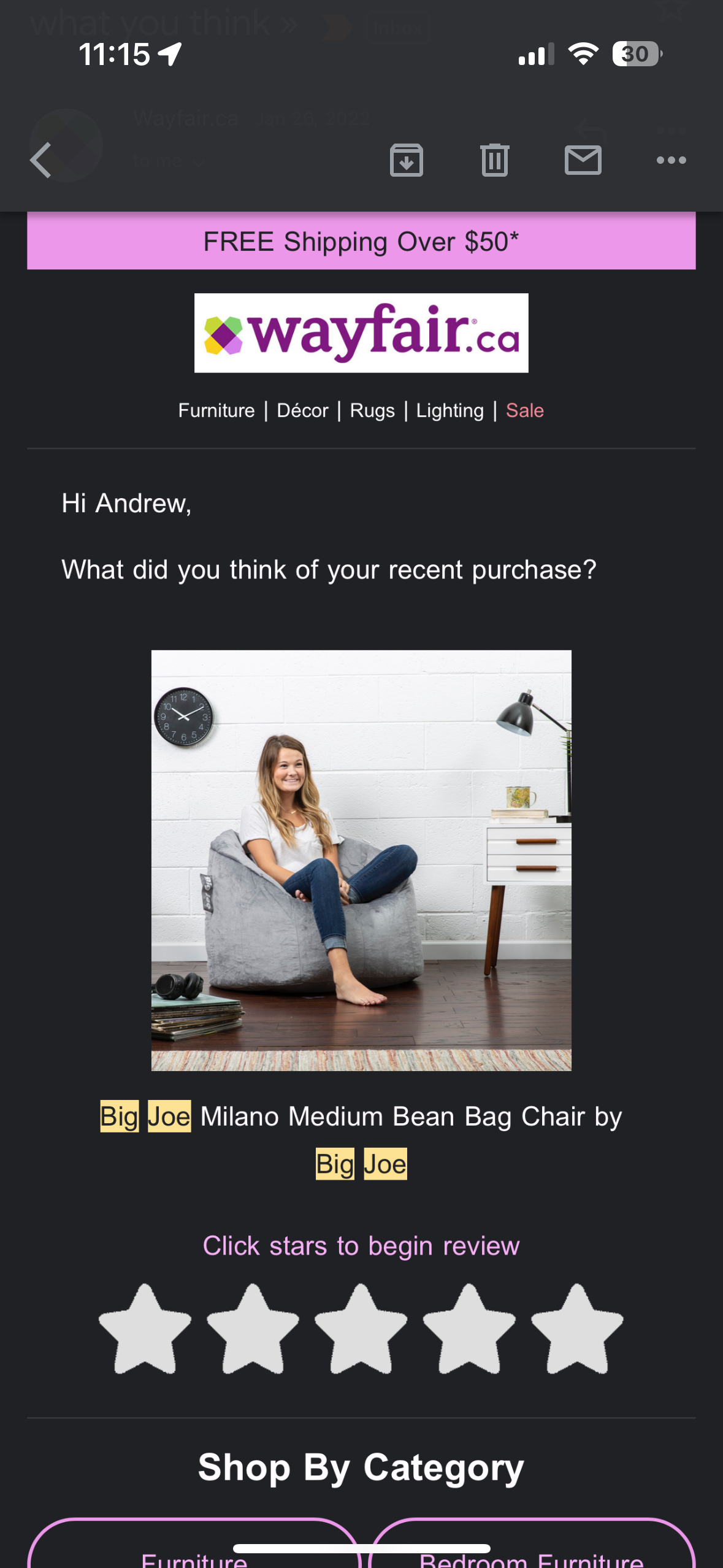 Big Joe Beanbag Chair - photo 2