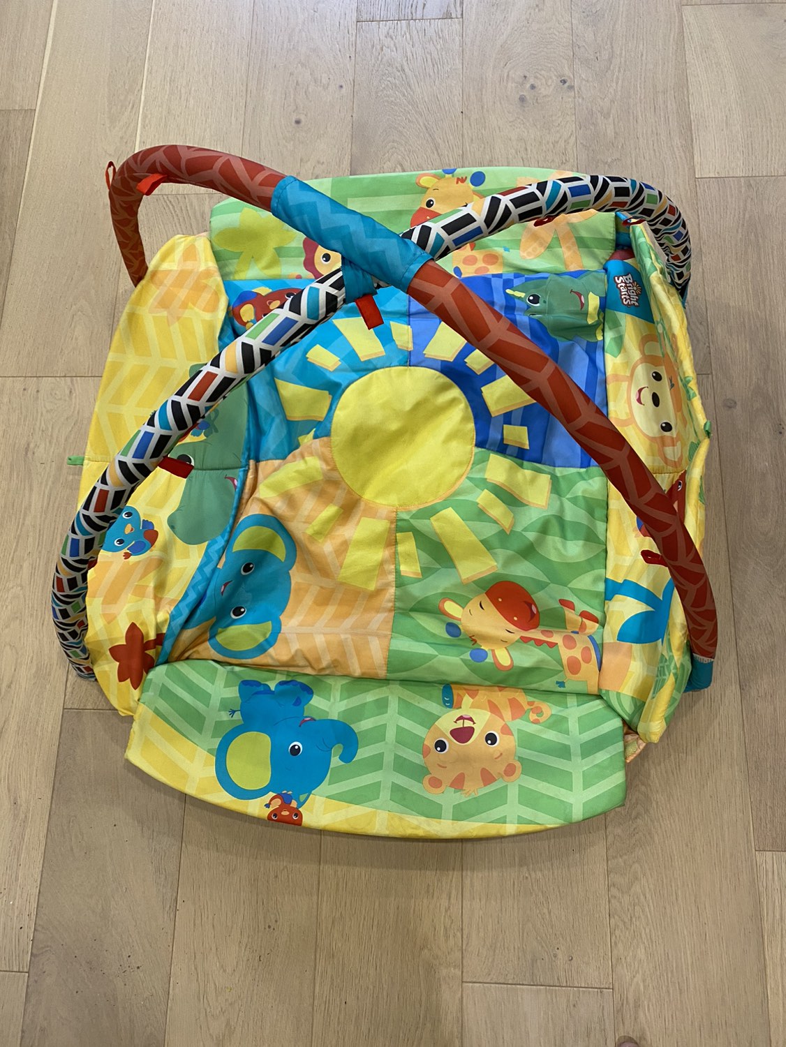 Bright starts baby play mat - photo 2
