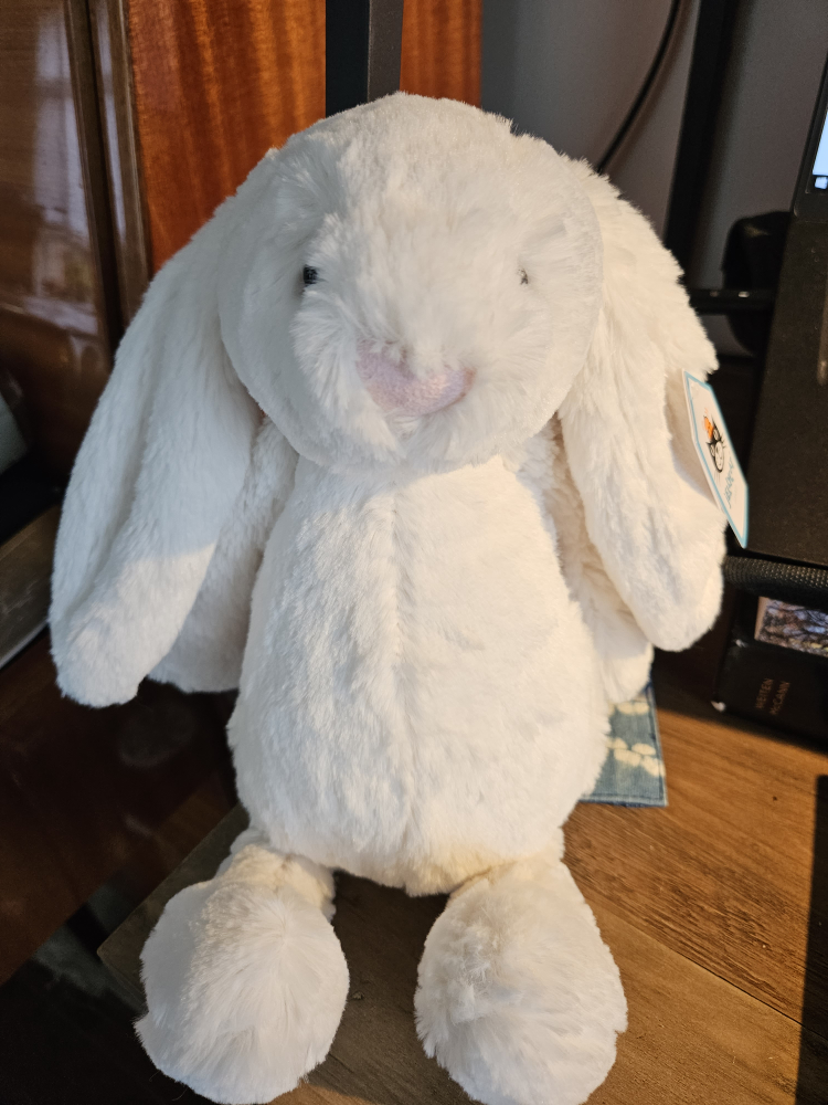 BNWT Jellycat Bunny