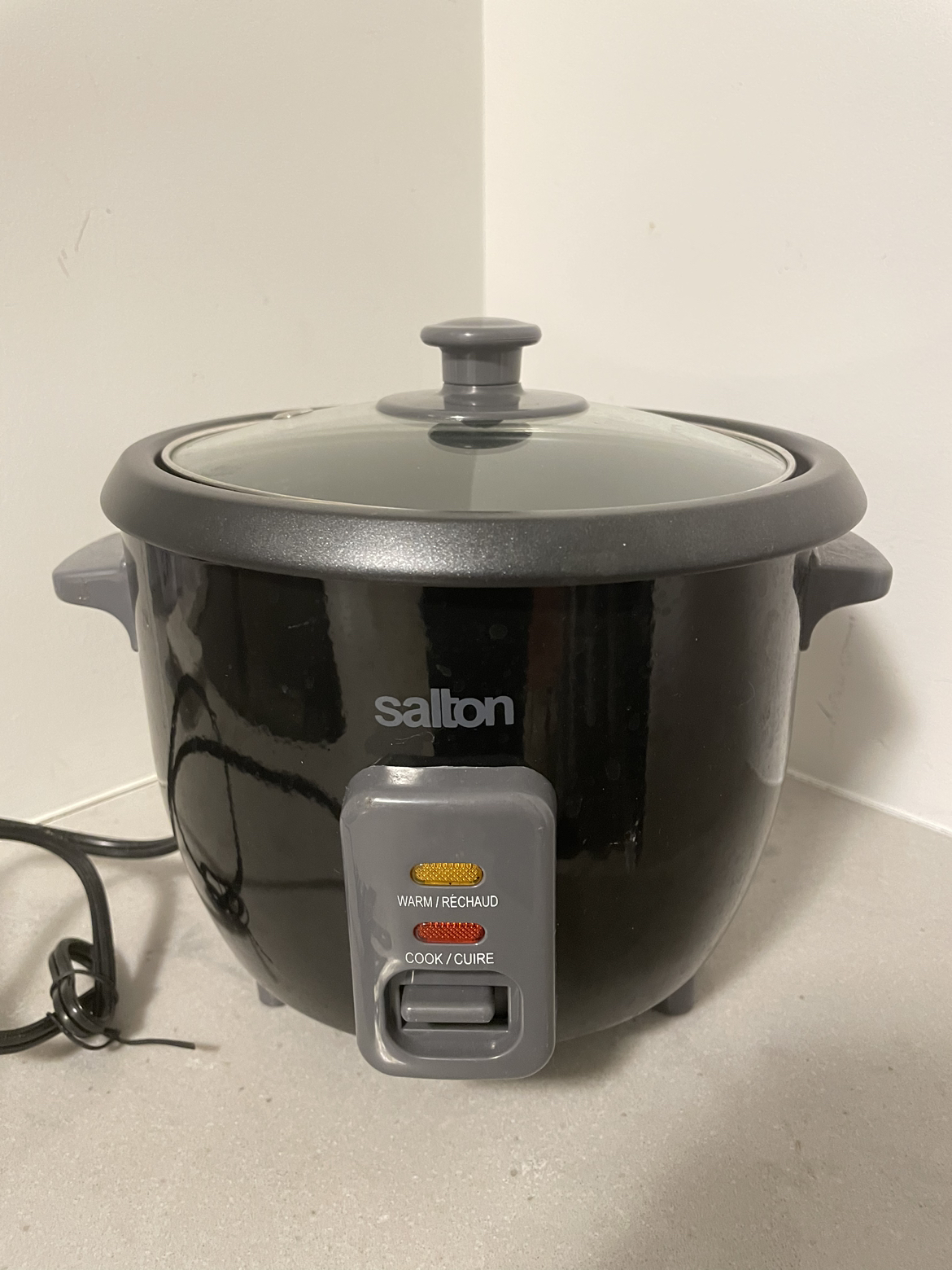 Mini rice cooker