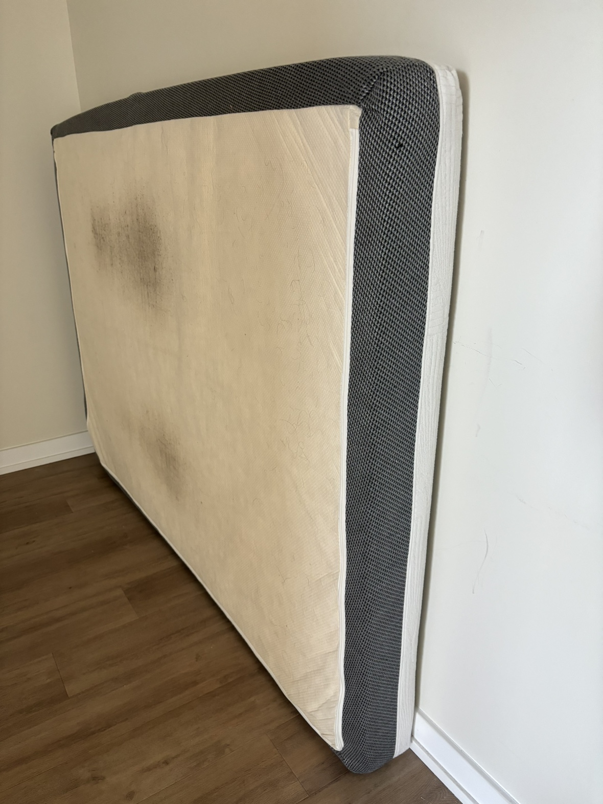 Zinus 6 Inch Memory Foam Mattress image indicator(6)