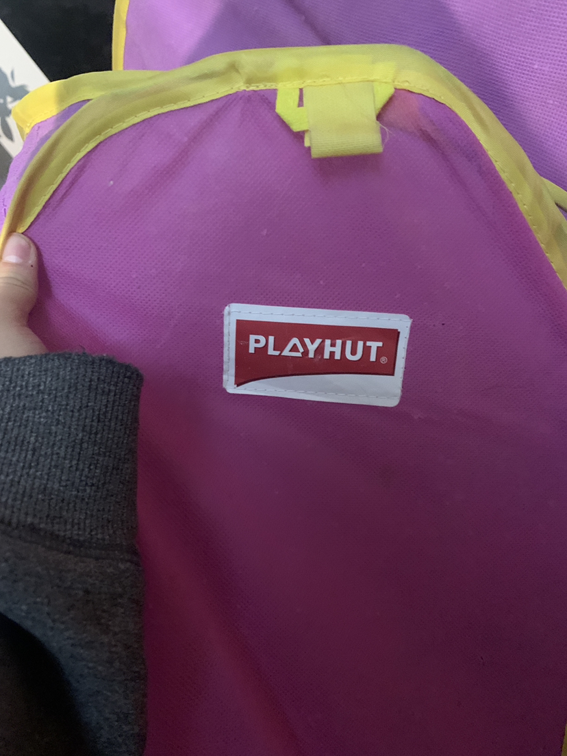 Dora fun house image indicator(7)