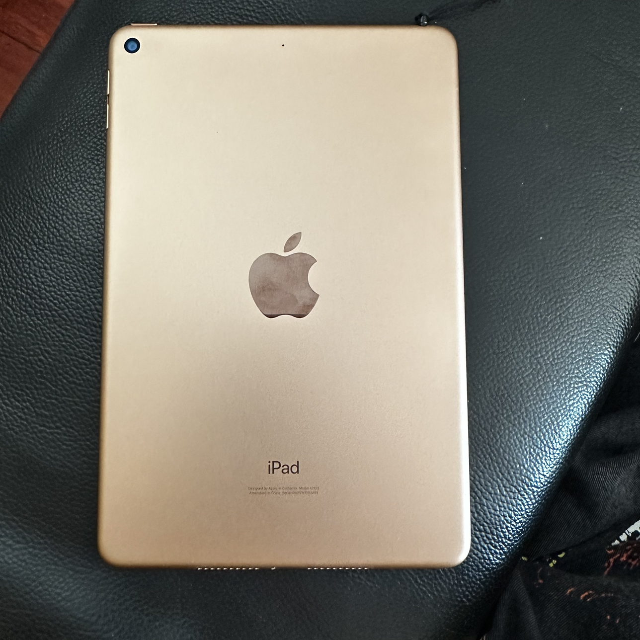 Apple iPad mini 5th generation gold 64gb - photo 4