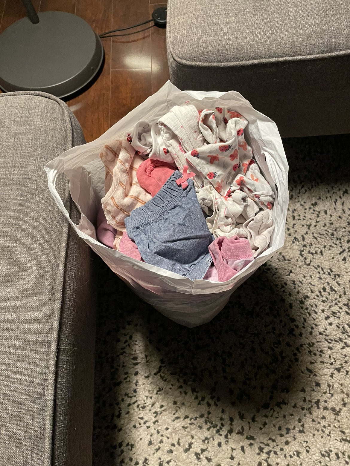 Bag of Baby girl clothes Sizes 0-6 months #freecycle