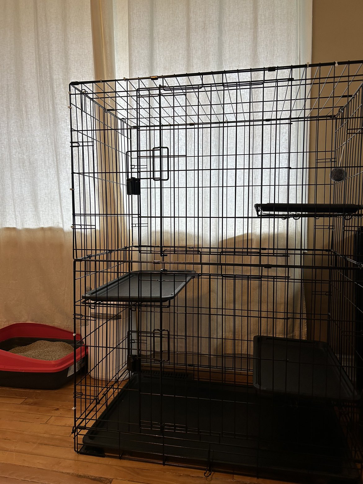 😺Cat crate cannel😺