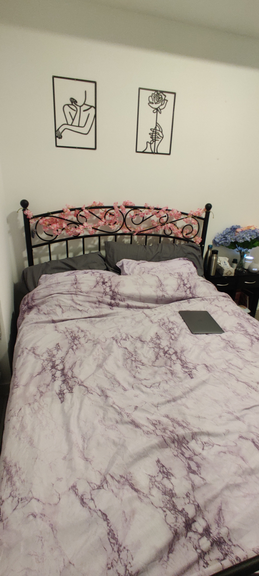 Sturdy Queen Metal Bed Frame