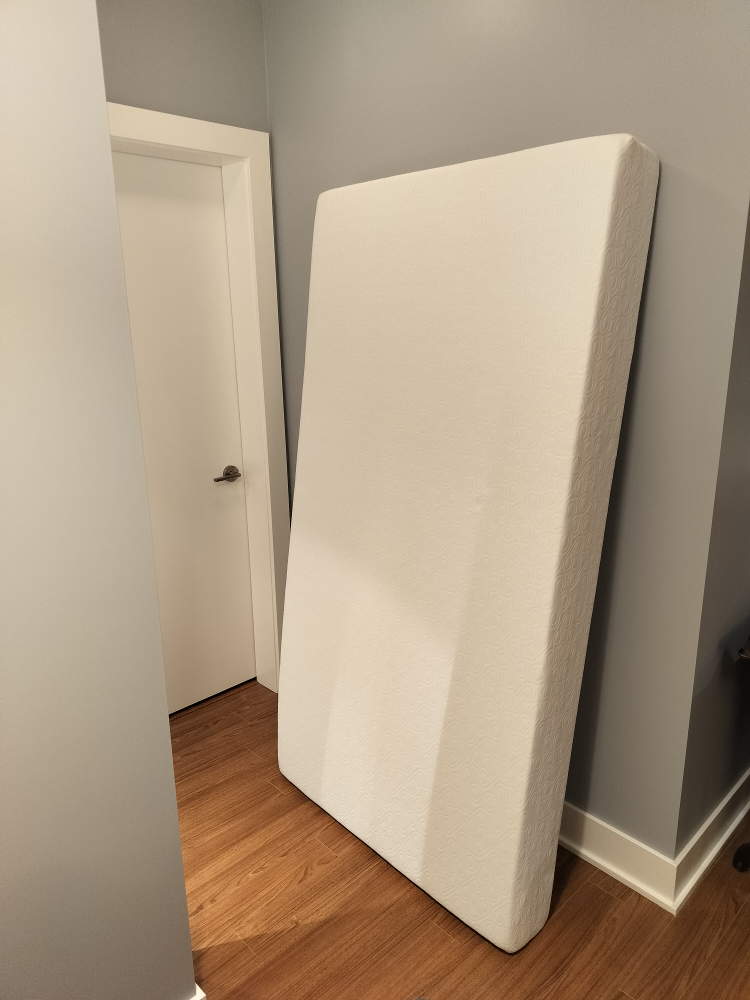 Bloom River Foam Mattress - Twin size (FREE) - photo 3