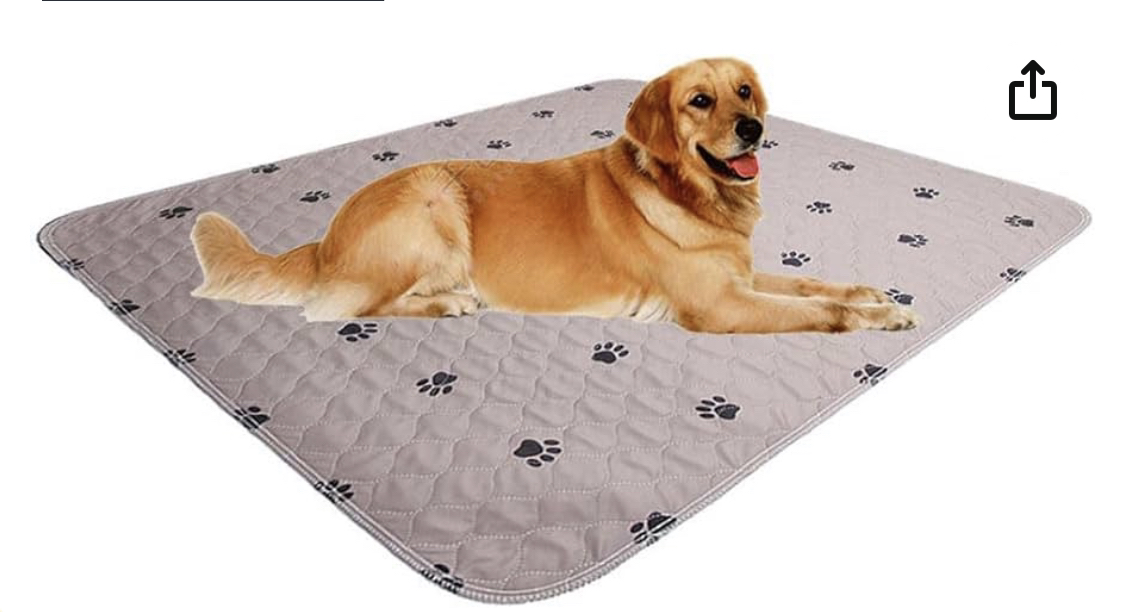 2 Dog carpet NEW in Box!!