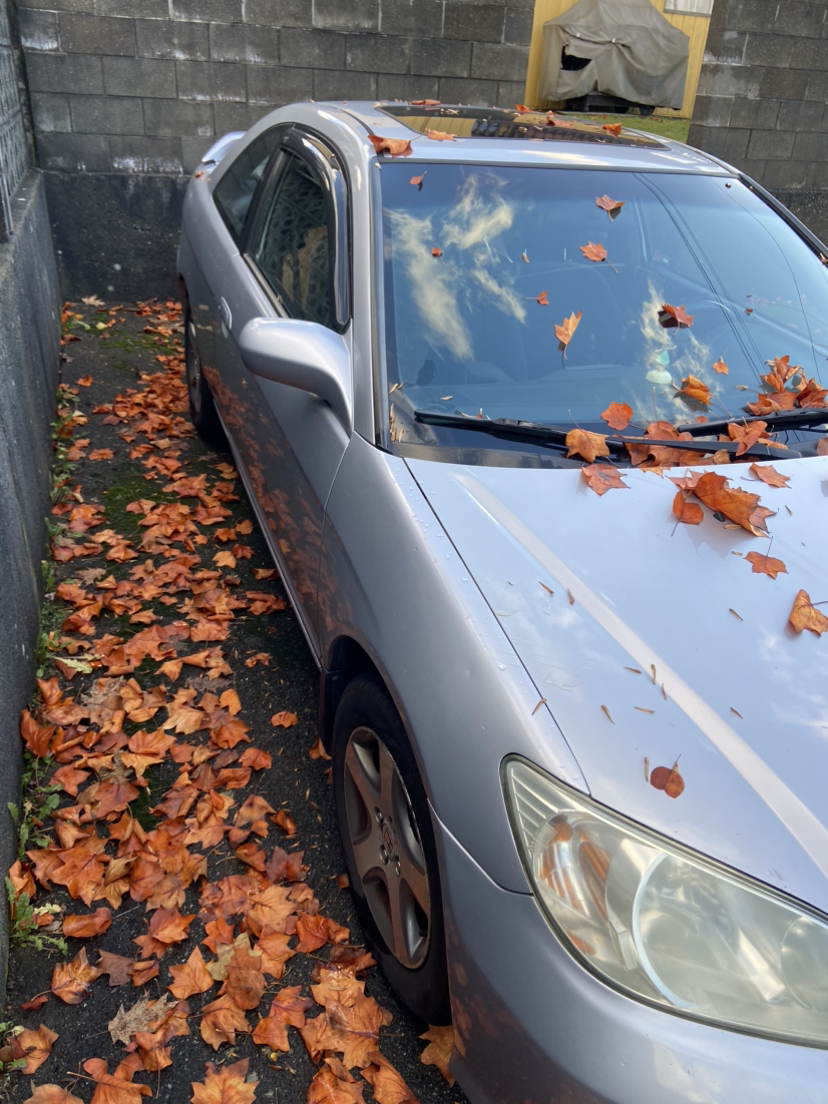 2004 Honda civic - photo 3