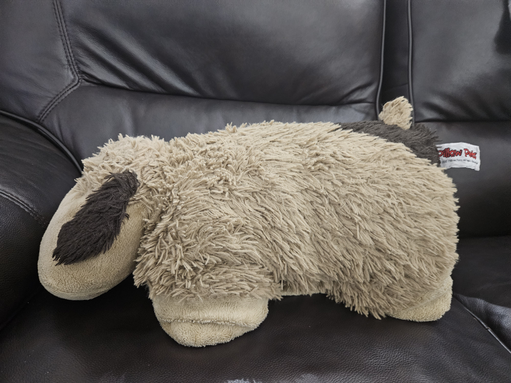 fluffy pet image indicator(2)