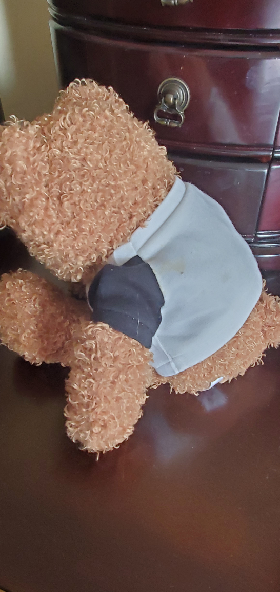Ringo Starr 2003 Tour Merchandise Teddy Bear - photo 2