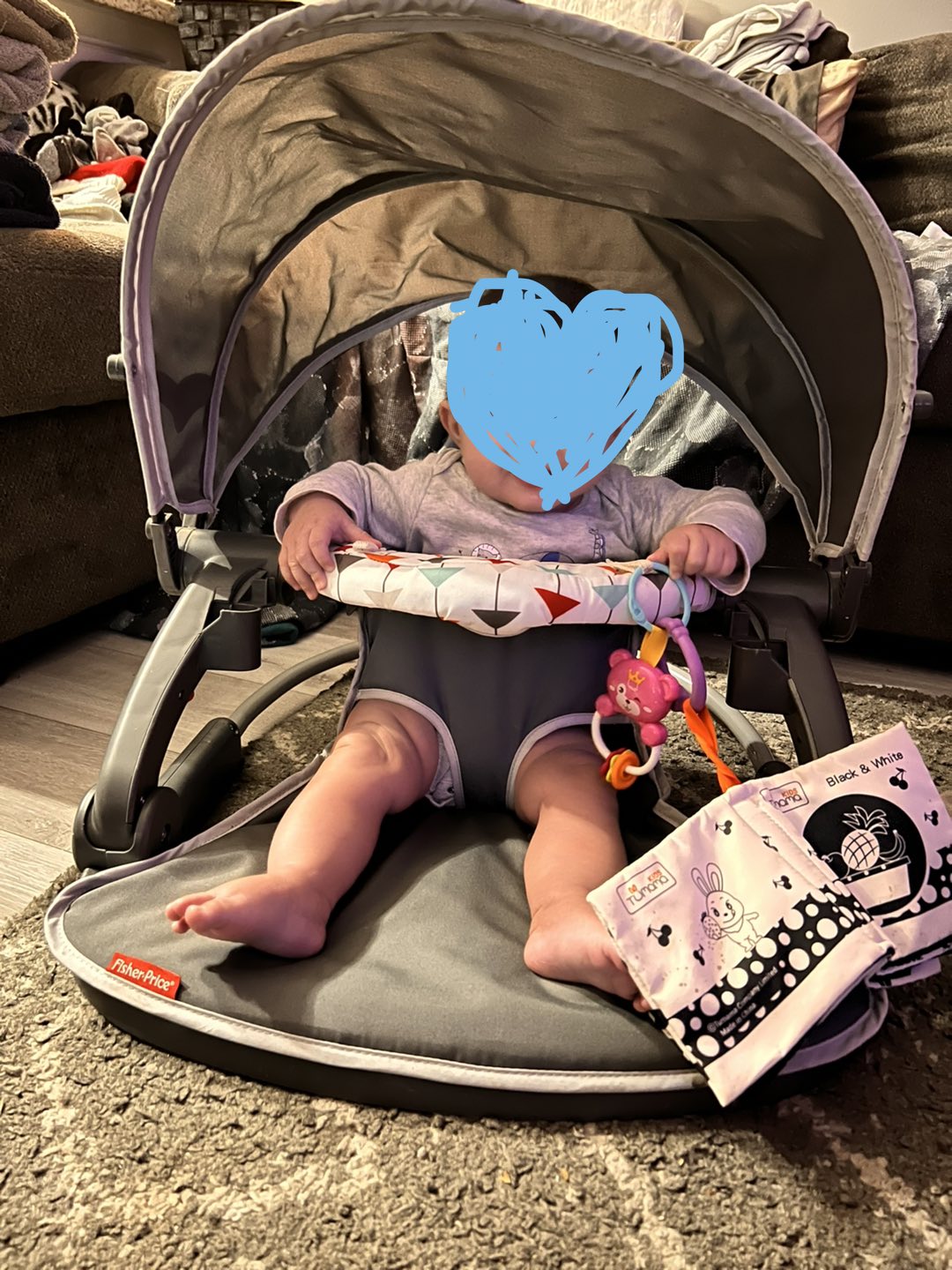 Baby seat image indicator(2)