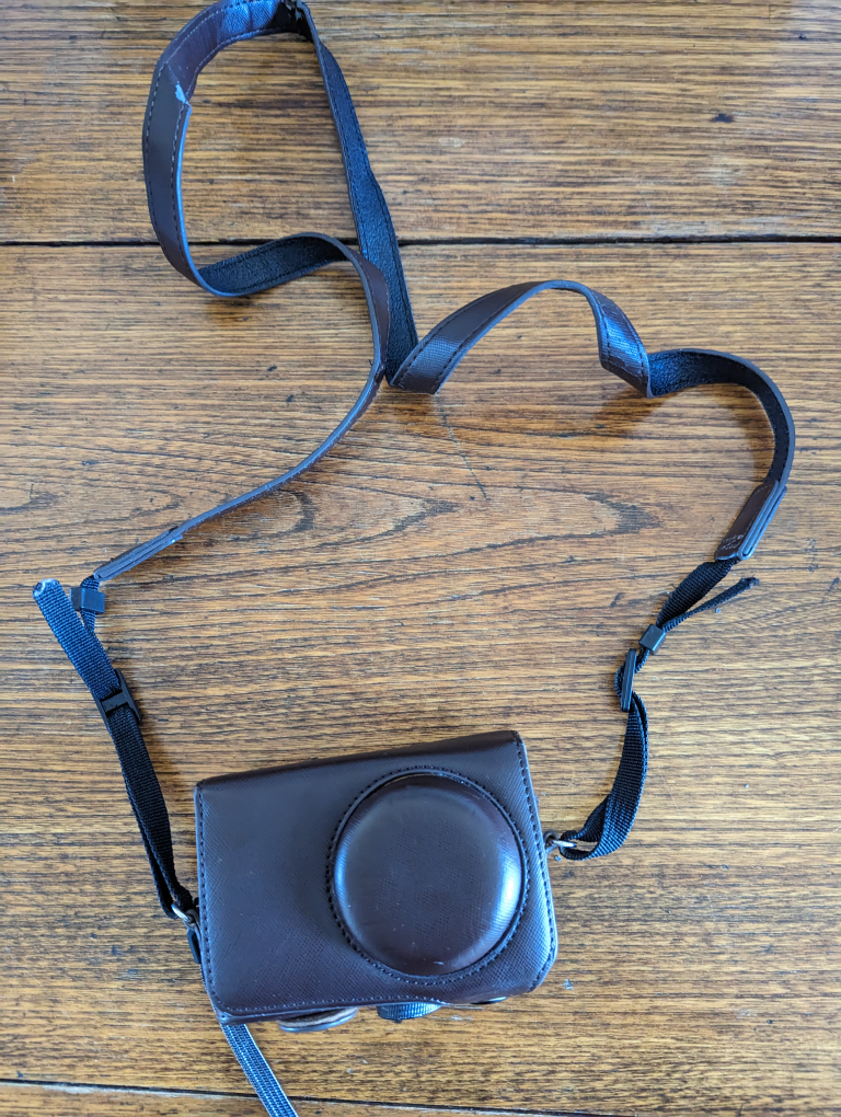 Nikon Coolpix P310 image indicator(2)