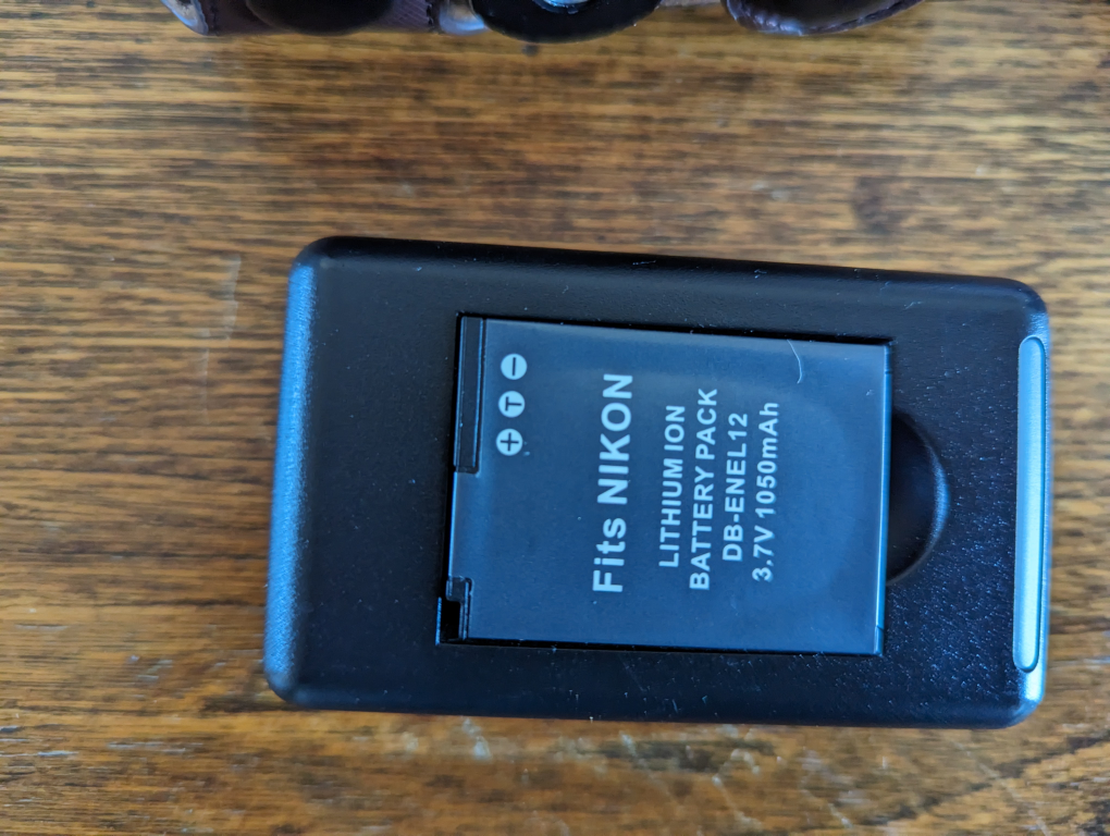 Nikon Coolpix P310 image indicator(5)