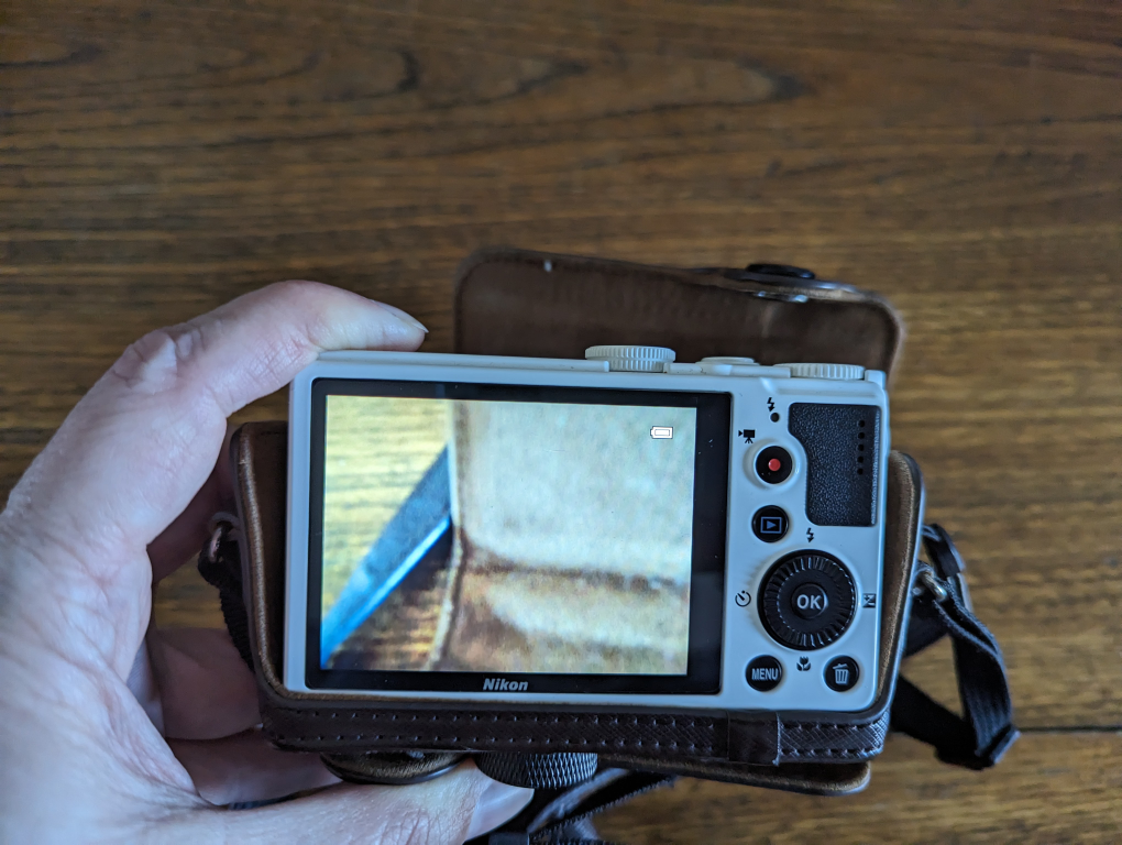 Nikon Coolpix P310 image indicator(6)